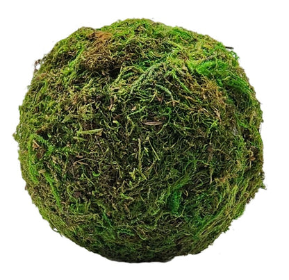 5" Moss Ball