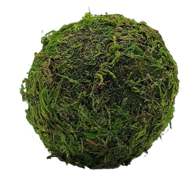 Dried Moss Balls- 3"