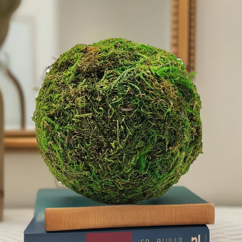 5" Moss Ball