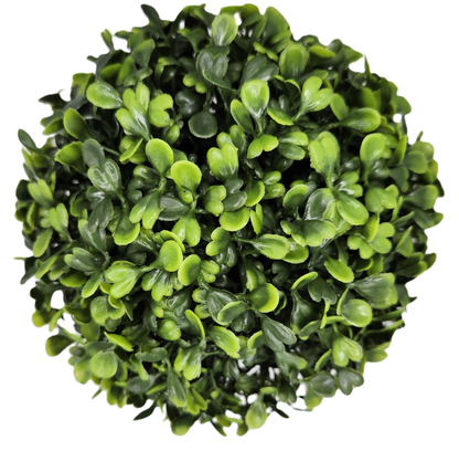 Boxwood Orb  Green 6.5"