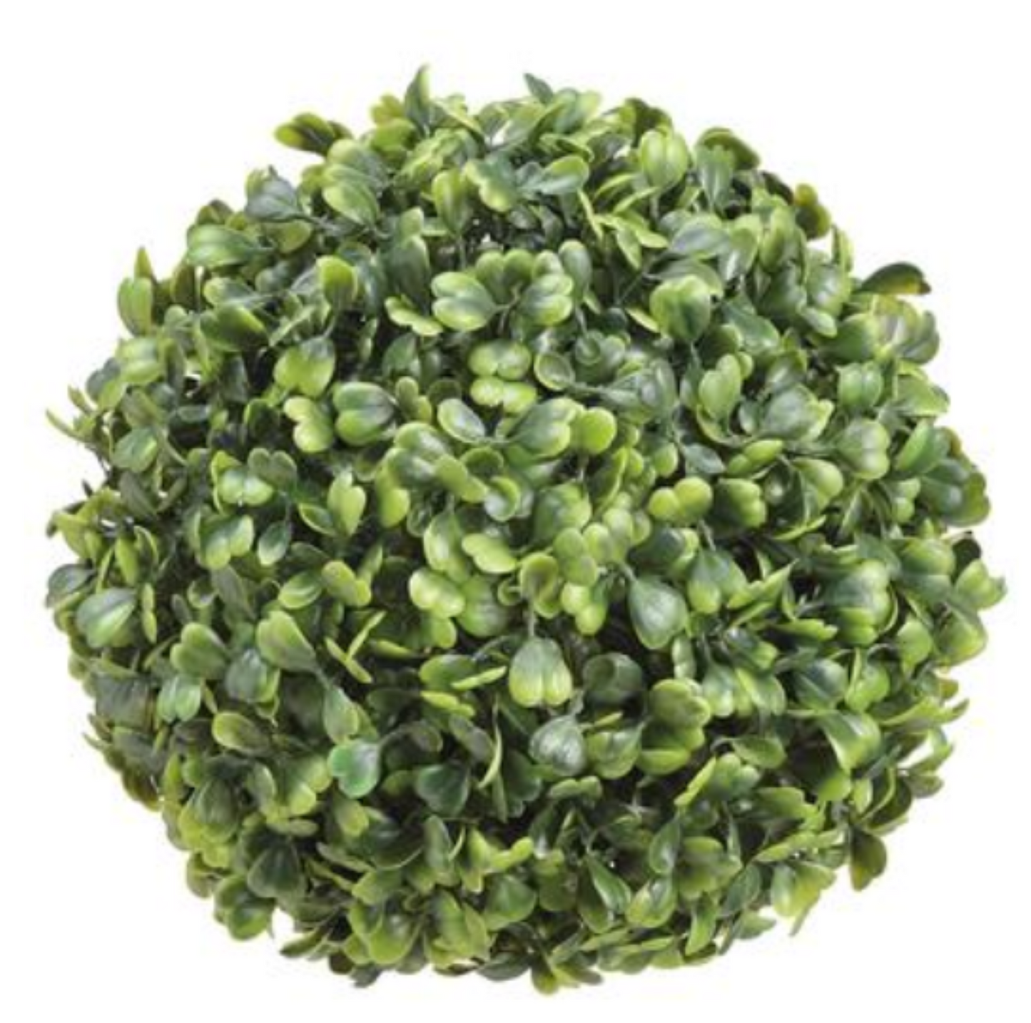 Boxwood Orb  Green 6.5"