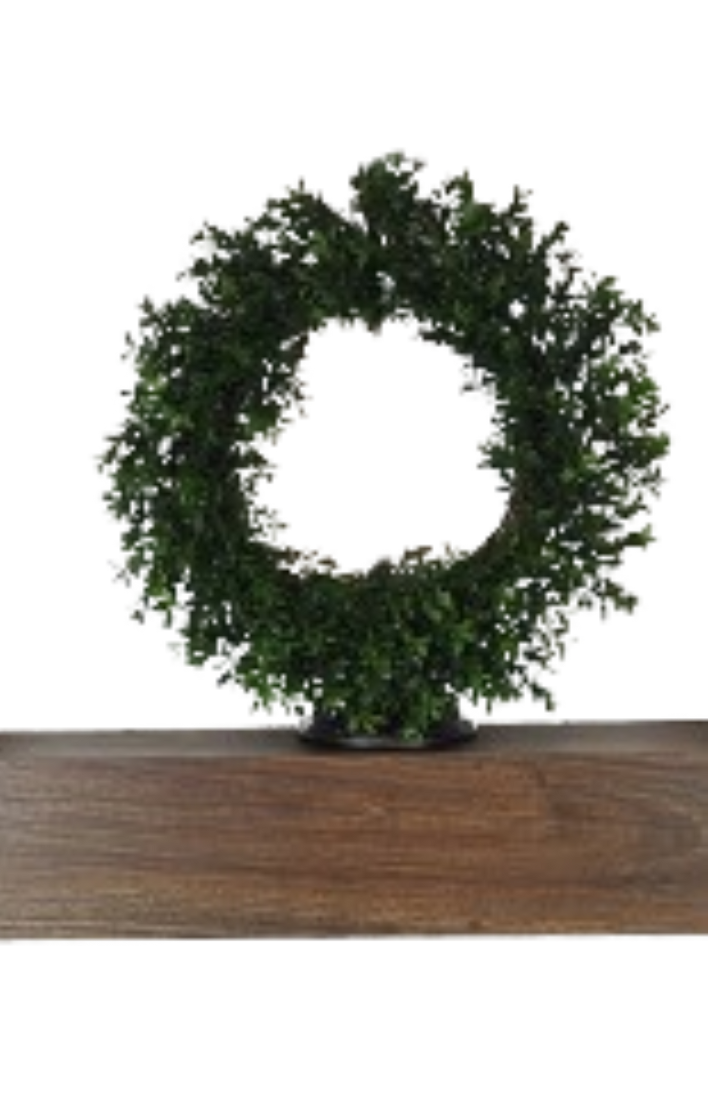 Boxwood Wreath 17"