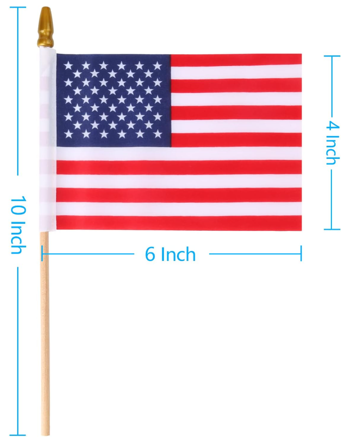 Small American Flag on Stick